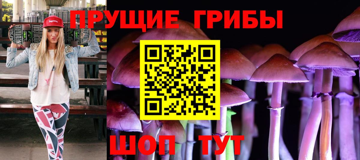 Россошь  Псилоцибиновые грибы GOLDEN TEACHER  Вход с VPN  Псилоцибиновые грибы GOLDEN TEACHER 