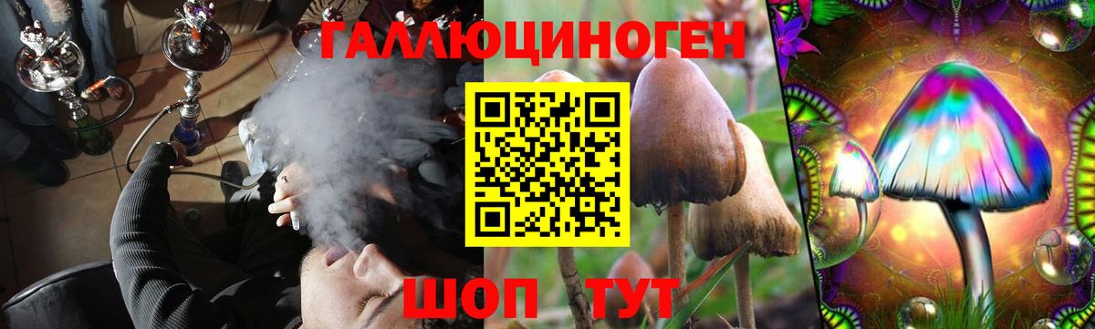 Псилоцибиновые грибы мицелий Россошь